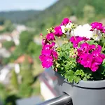 Apartamento Haus Erika 1 Bad Teinach-Zavelstein