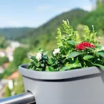 Haus Erika 1 *
