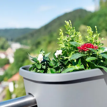 Apartamento Haus Erika 1 Bad Teinach-Zavelstein