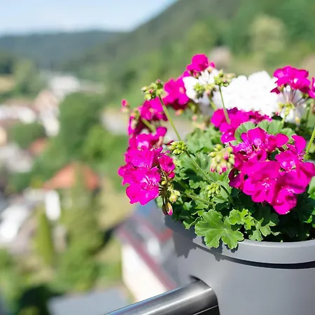 Haus Erika 1 Apartamento *