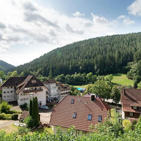 Apartment Haus Erika 1 Bad Teinach-Zavelstein