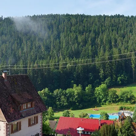Haus Erika 1 Apartment Bad Teinach-Zavelstein