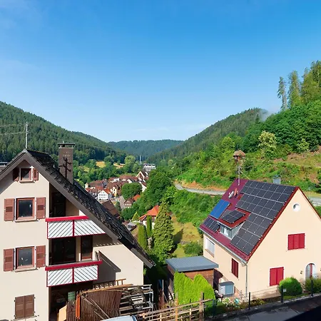 Haus Erika 1 Apartamento