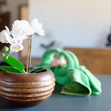 Haus Erika 1 Bad Teinach-Zavelstein